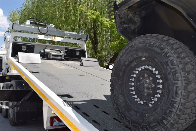 Orta ve Hafif Kurtarma